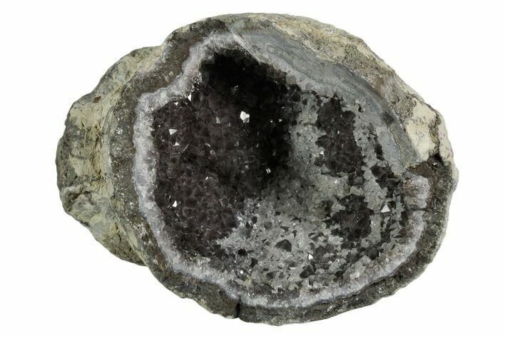 Las Choyas Coconut Geode Half with Smoky Quartz - Mexico #348472